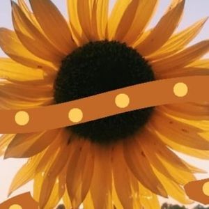 Meet your Posher, Kylee